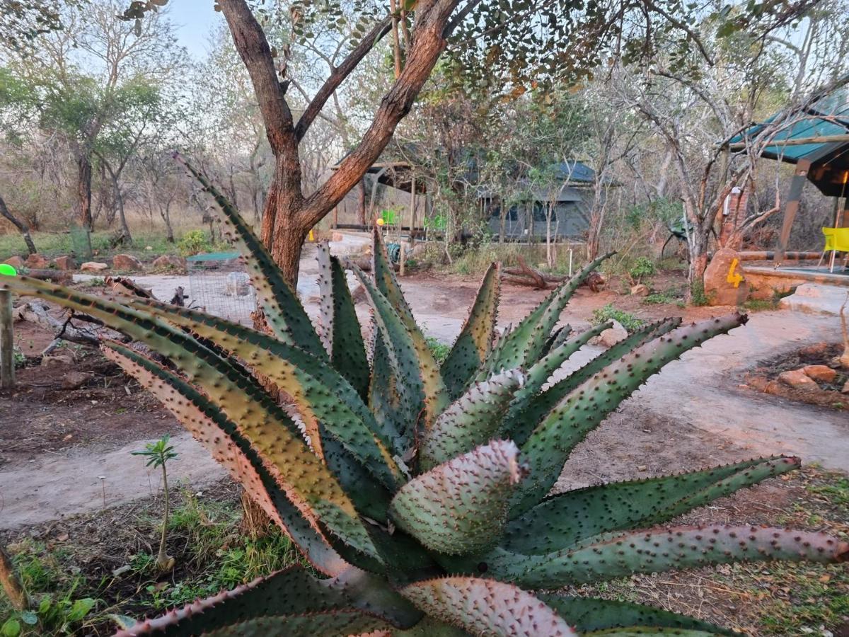 Doringpoort Lodge Kruger National Park Exterior photo