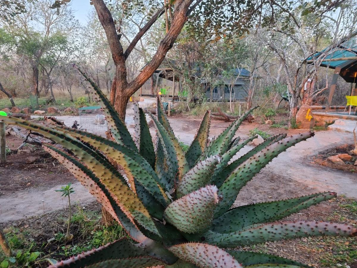 Doringpoort Lodge Marloth Park Exterior photo