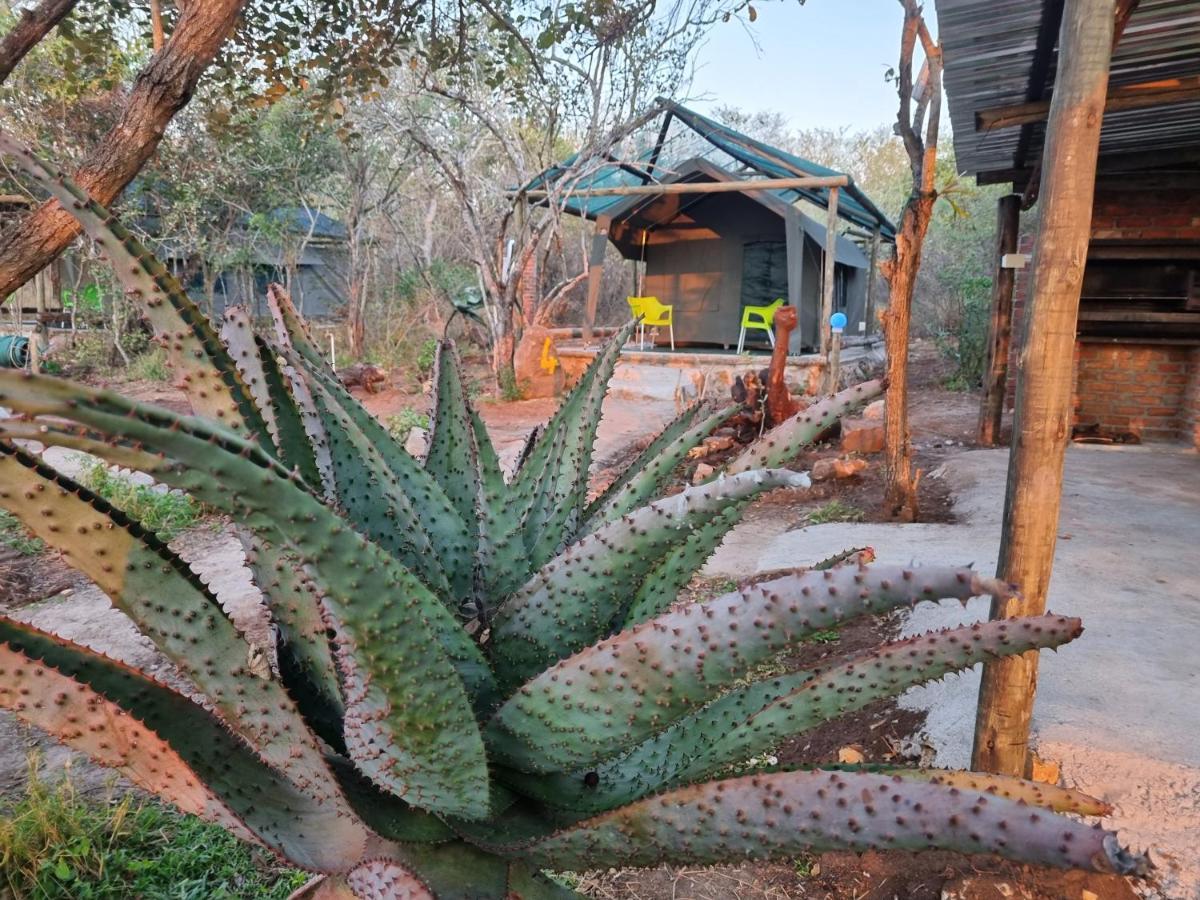 Doringpoort Lodge Kruger National Park Exterior photo