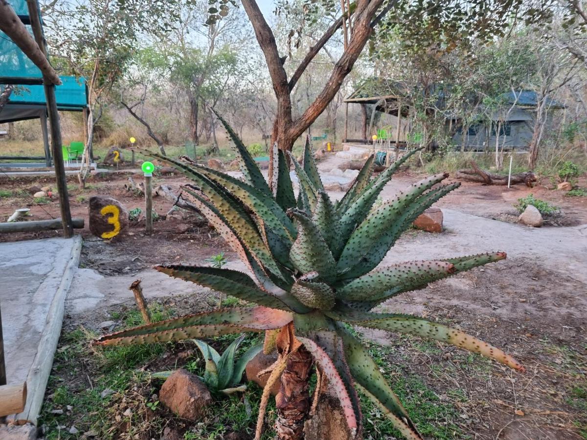 Doringpoort Lodge Marloth Park Exterior photo