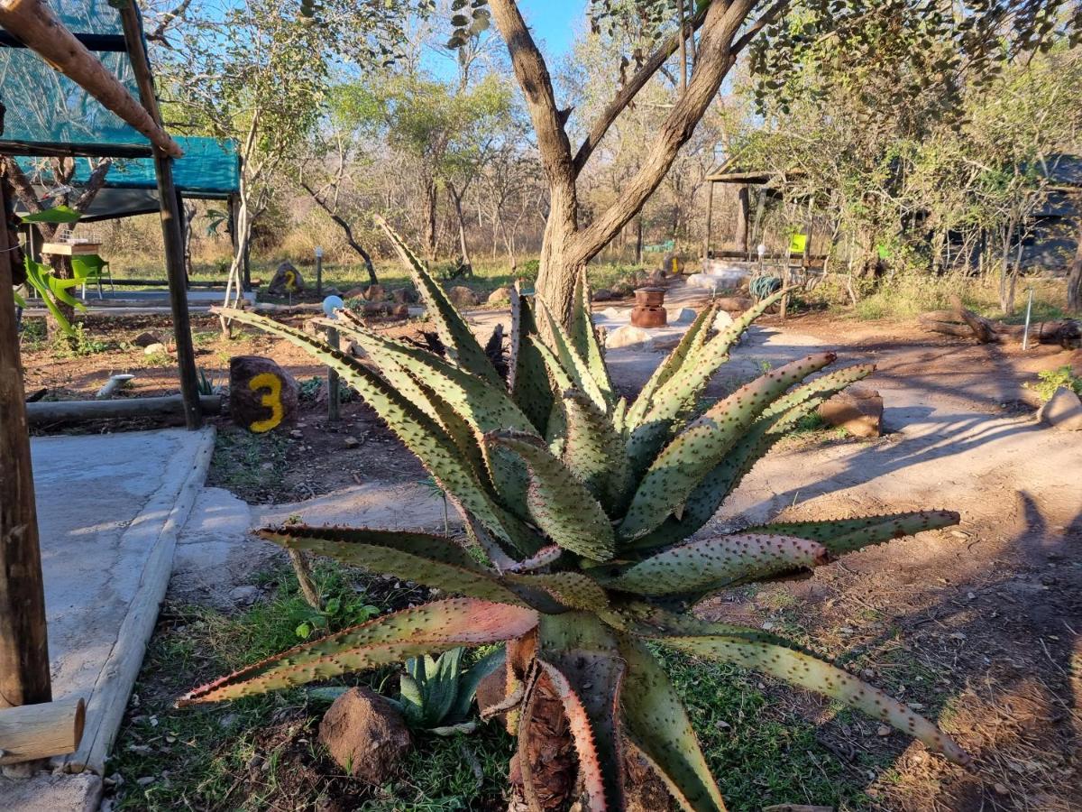 Doringpoort Lodge Marloth Park Exterior photo